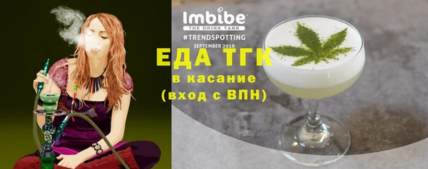 гашик Арсеньев