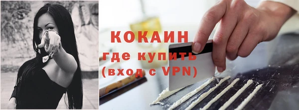 сатива Нефтекумск