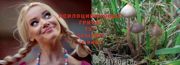 синтетический гашиш Армянск